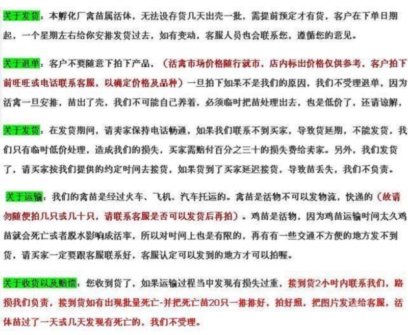 青脚土鸡公苗厂家直销包打马利克疫苗包运输包路途成活