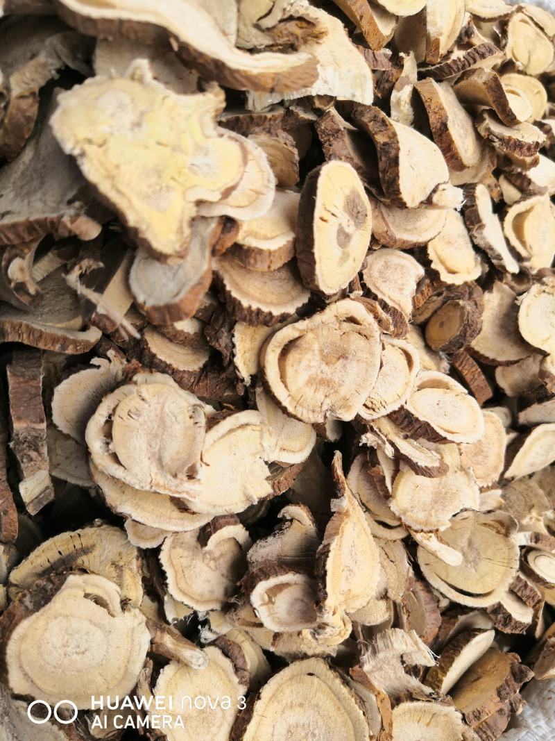 苦参中药材！规格其全大量批发一手货源价格优。