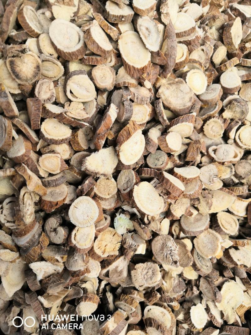 苦参中药材！规格其全大量批发一手货源价格优。
