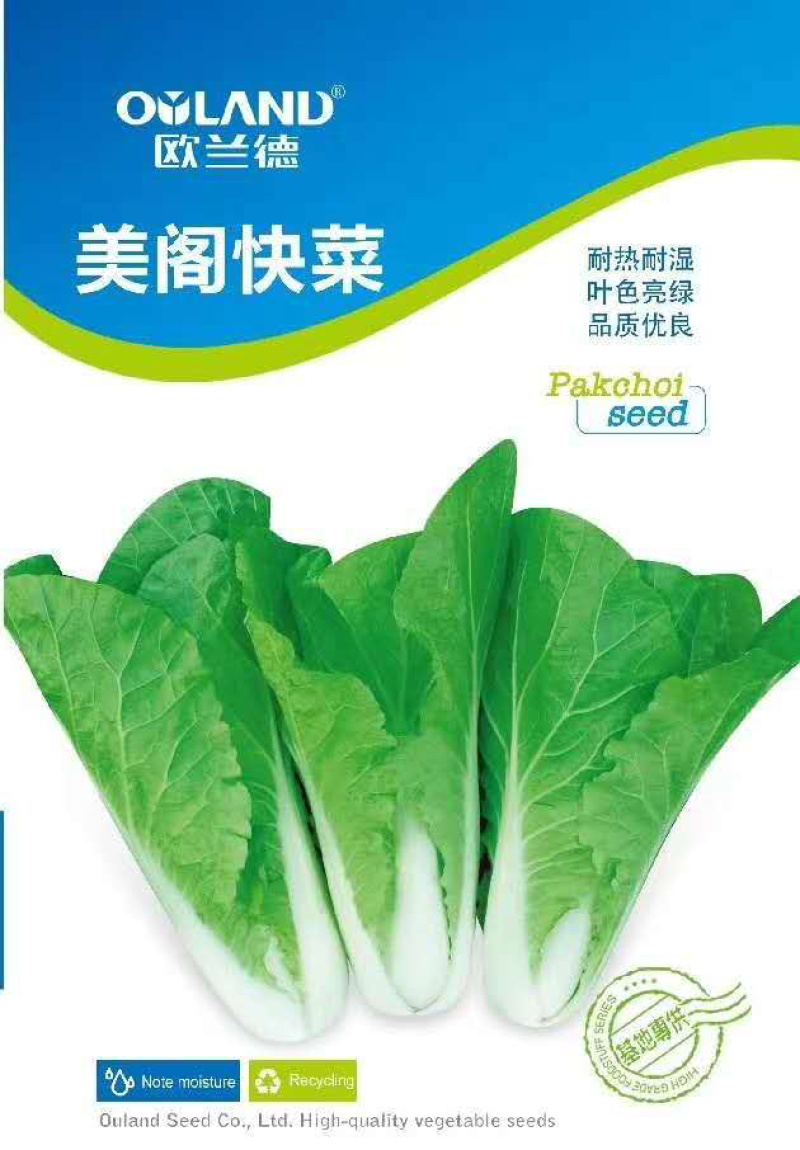耐热耐湿叶片亮绿美阁快菜种子稳产丰产厂家直销