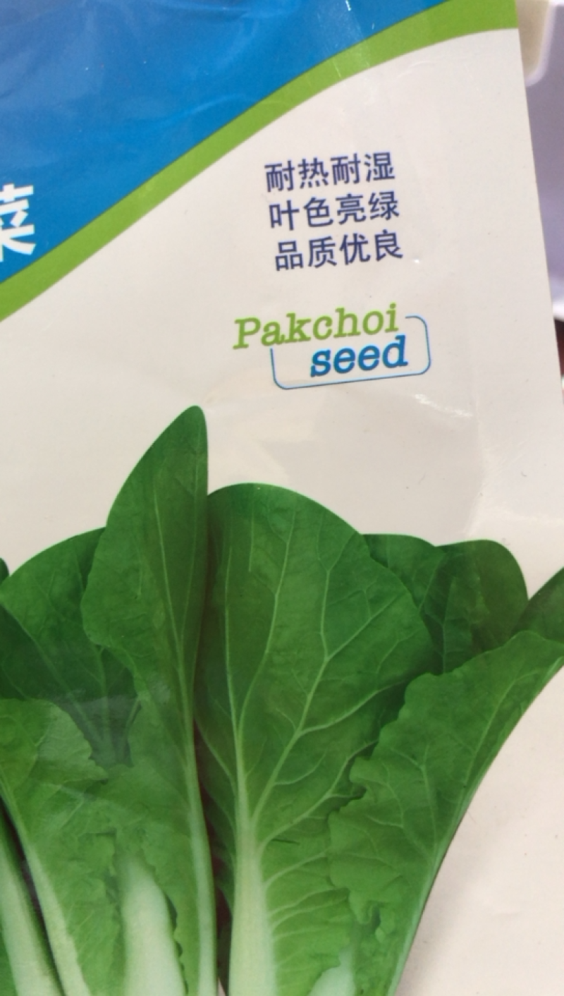 耐热耐湿叶片亮绿美阁快菜种子稳产丰产厂家直销