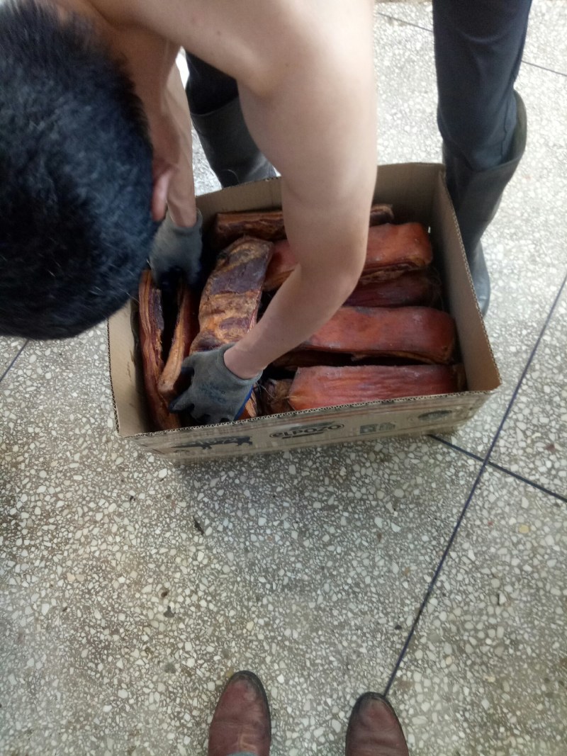 农家无饲料喂养老品种土猪肉，味道就是不一样