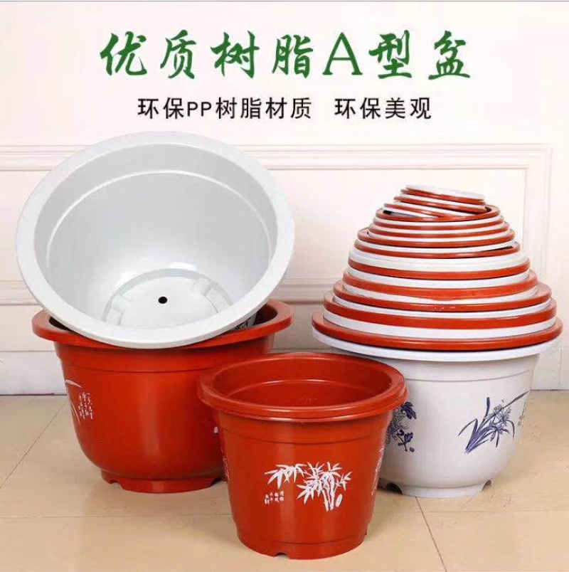 花盆塑料育苗花盆，硬质花盆，红花盆白花盆