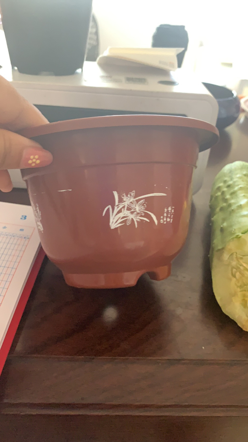 花盆塑料育苗花盆，硬质花盆，红花盆白花盆