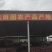 基地精品西红柿大量供应