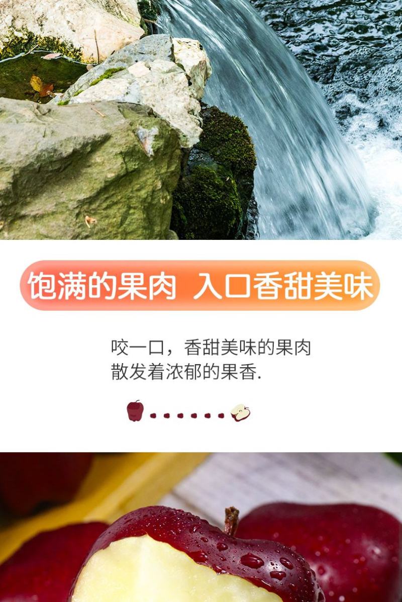 甘肃天水花牛苹果水果新鲜当季整箱包邮10红蛇大果粉面刮泥