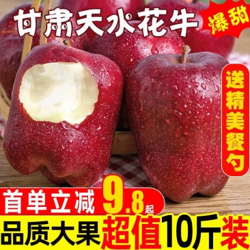 甘肃天水花牛苹果水果新鲜当季整箱包邮10红蛇大果粉面刮泥