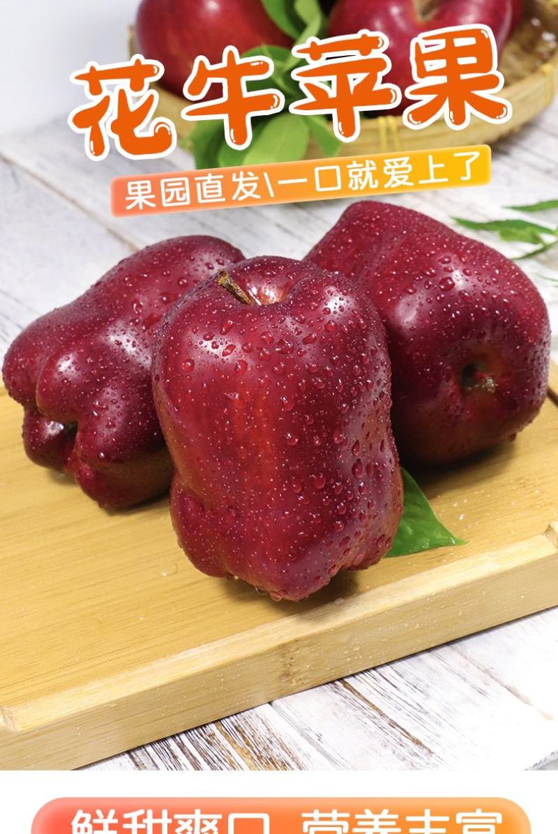甘肃天水花牛苹果水果新鲜当季整箱包邮10红蛇大果粉面刮泥