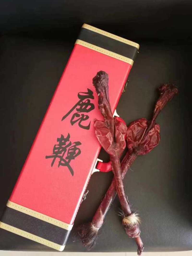 梅花鹿干鹿鞭鹿场一手货源鹿鞭大量批发