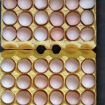 河北粉壳鸡蛋，红心，双色，黄心，27-45斤/箱净重