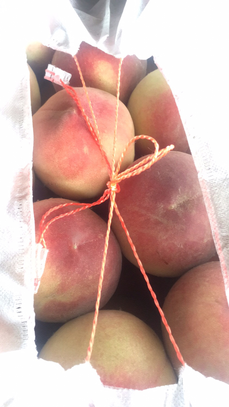 安徽砀山水蜜桃🍑，每年7月上市