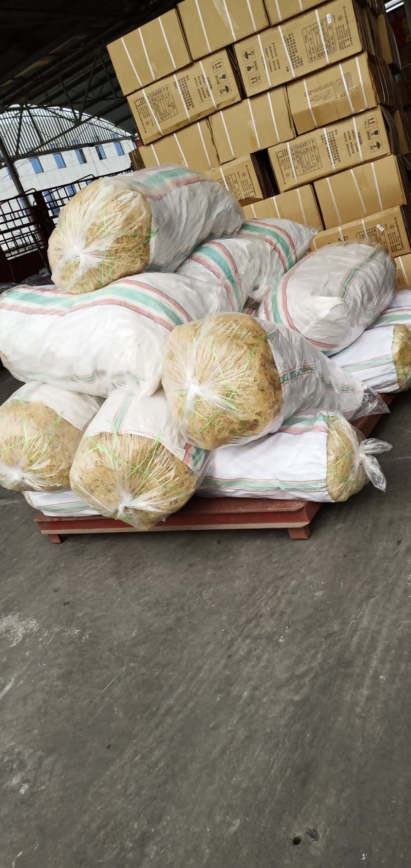 【精选特菜】清水无盐纯干龙须菜鹿角菜产地直销欢迎选购
