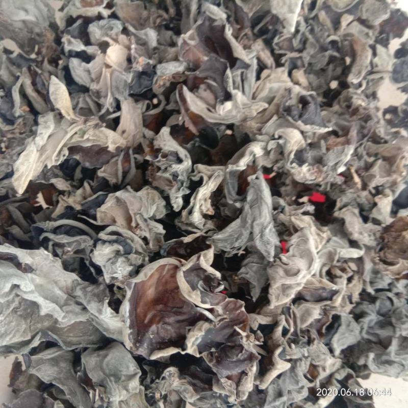 陕南特产黑木耳深山椴木木耳干货纯桦梨树耳子
