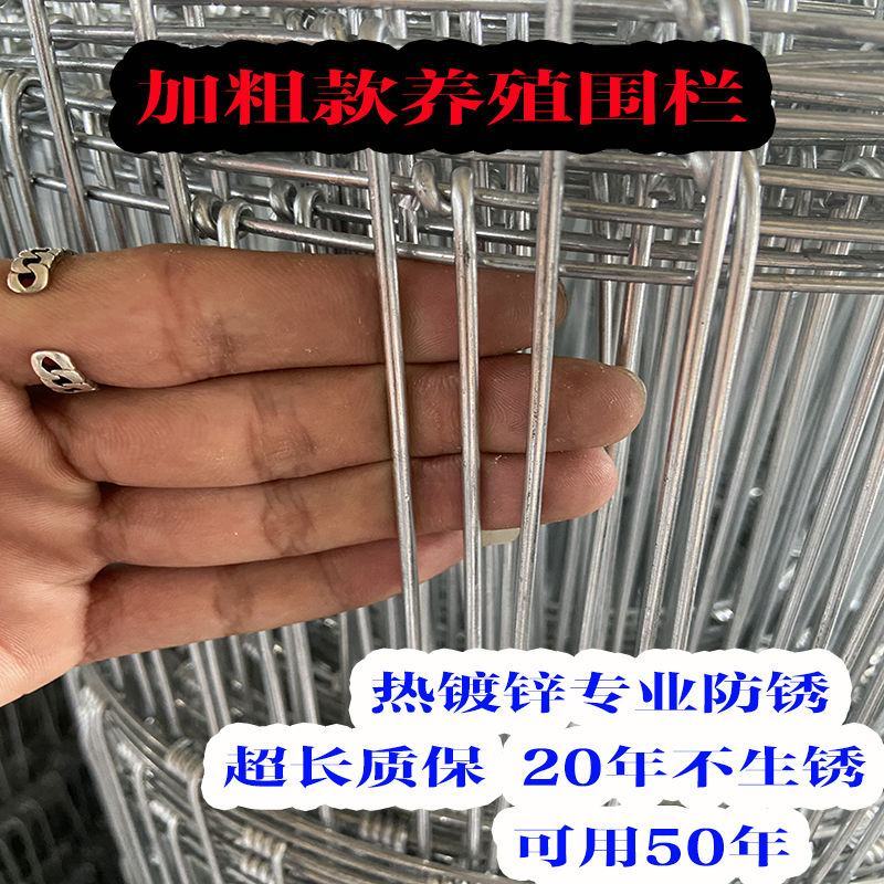 热镀锌养殖网牛栏网养猪养羊养牛防护网草原网量大从优