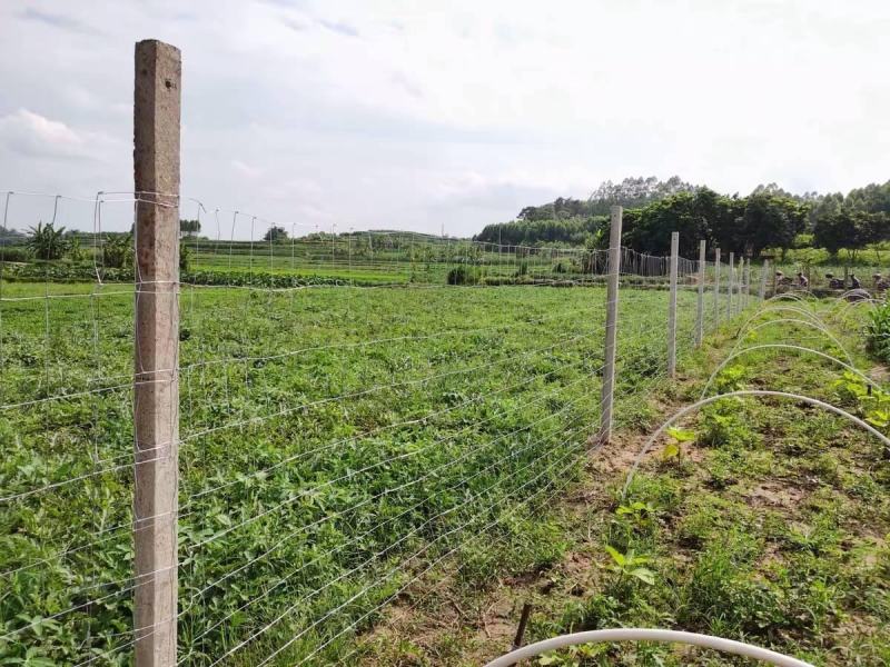 热镀锌养殖网牛栏网养猪养羊养牛防护网草原网量大从优