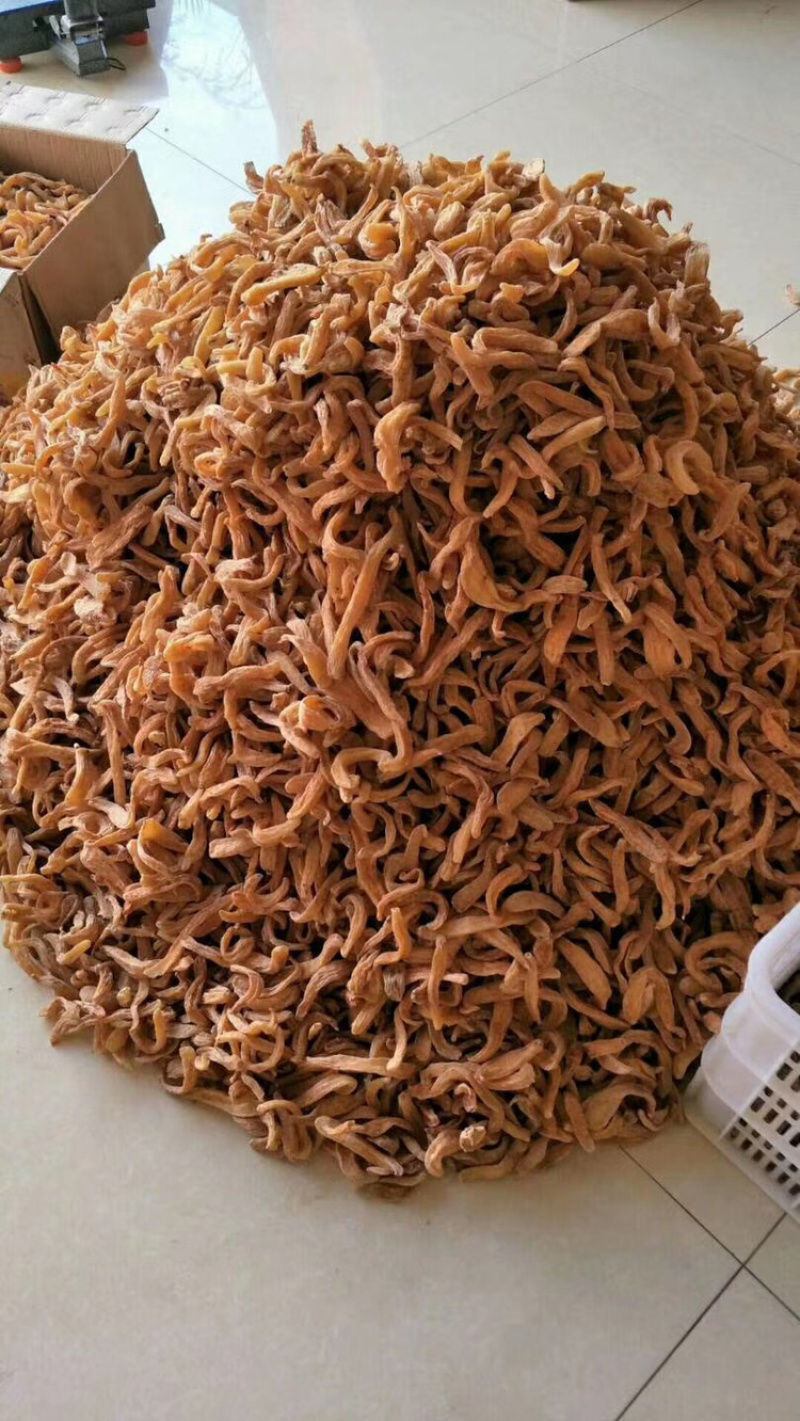 小金麻精选天麻产地直销昭通天麻批发价量大从优