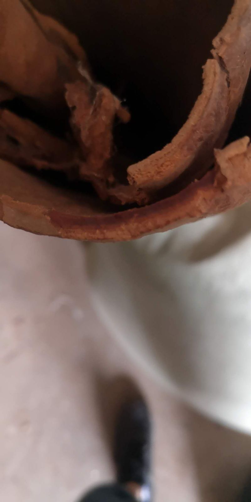 越南高山老油桂桂皮刮皮