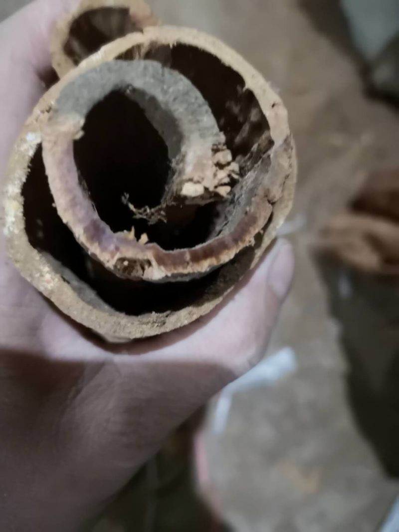 越南高山老油桂桂皮刮皮