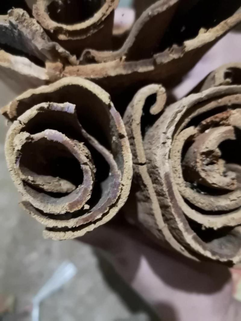 越南高山老油桂桂皮刮皮