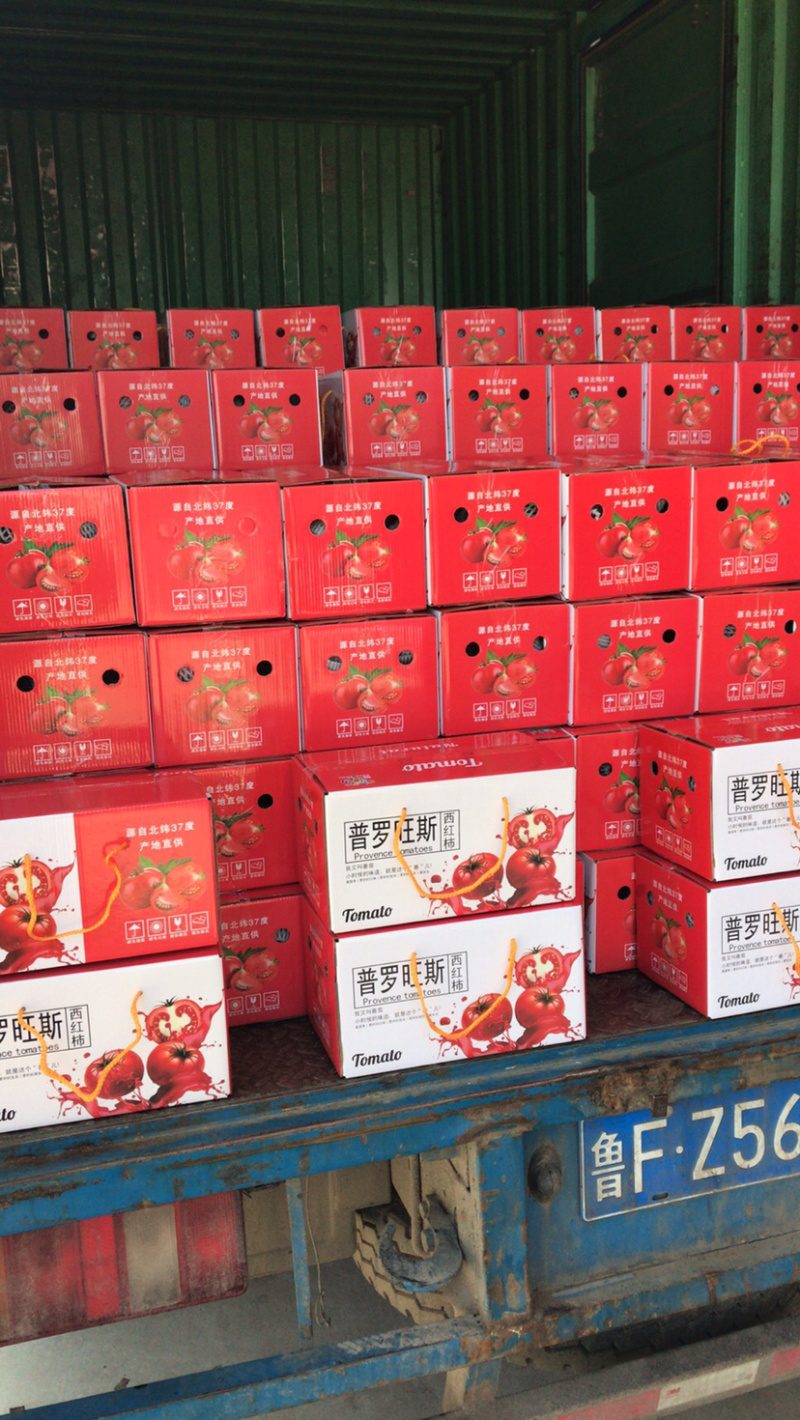 普罗旺斯西红柿，产地普罗旺斯番茄，整车代发。