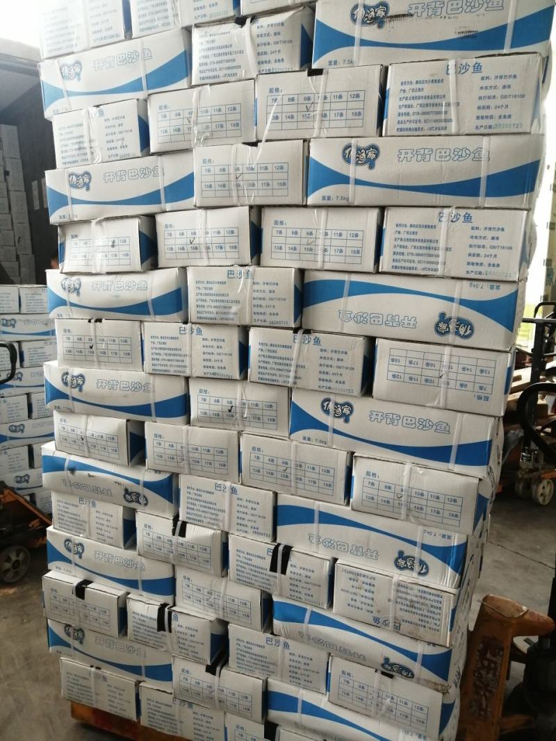 巴沙鱼开背鱼开背巴沙鱼质量保证