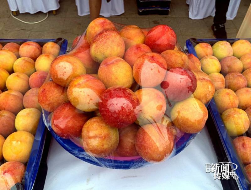 大连套袋李子大红袍李子皮薄肉厚核小汁甜