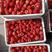 树莓，红树莓果，双季树莓鲜果