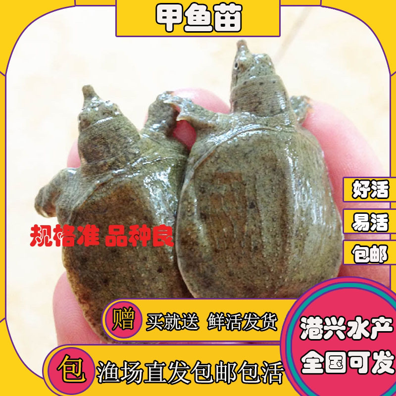飞鸽代办-看货保障金