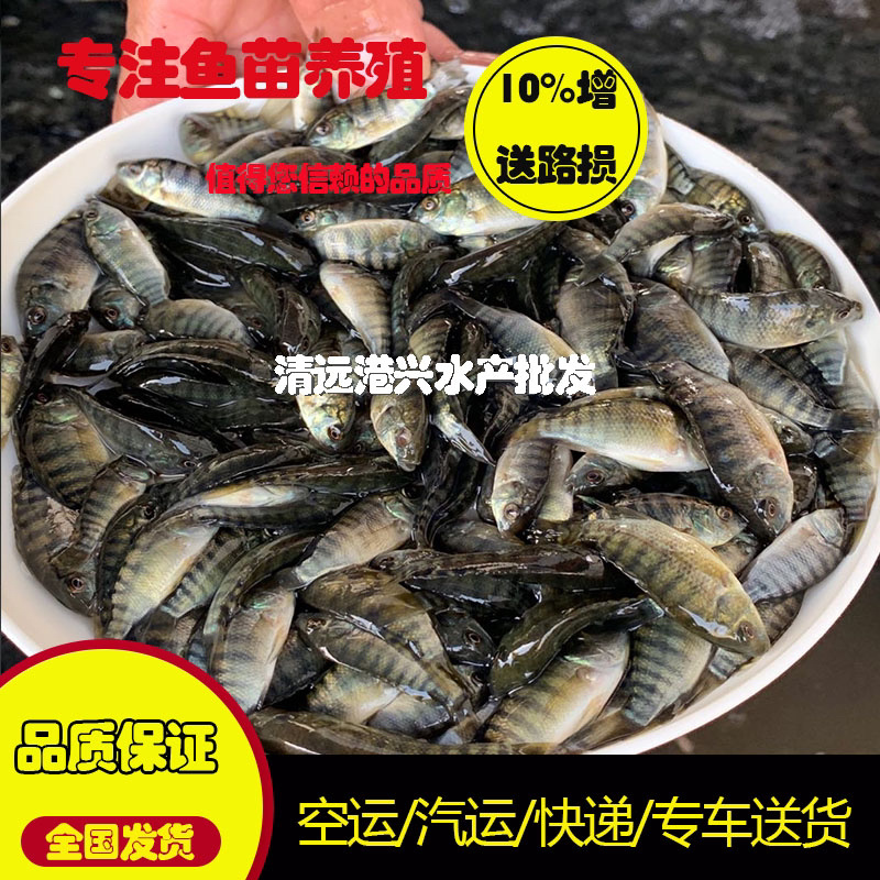 飞鸽代办-看货保障金