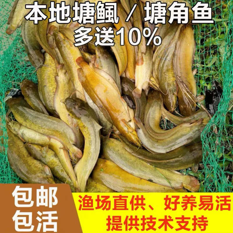 飞鸽代办-看货保障金