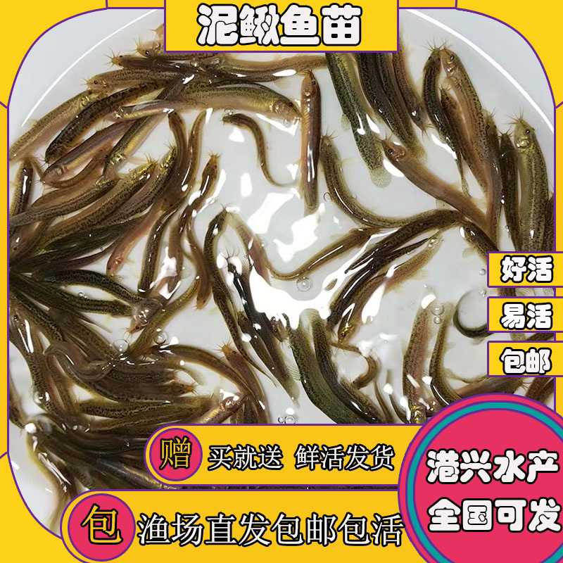 飞鸽代办-看货保障金