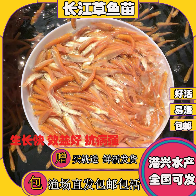 飞鸽代办-看货保障金