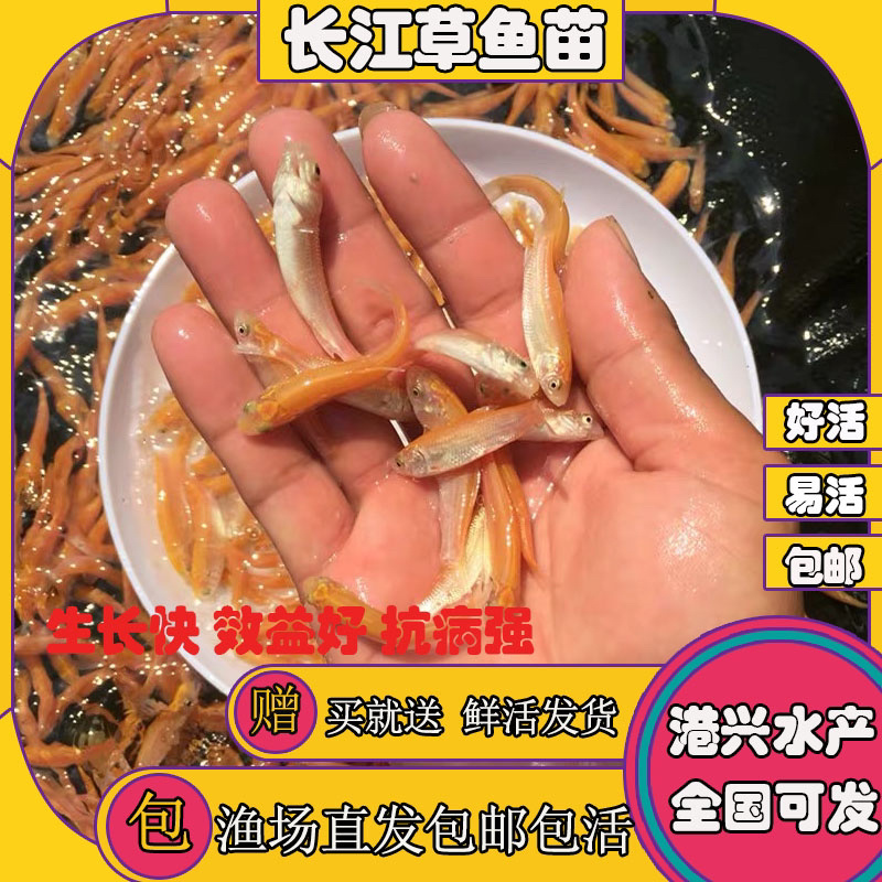 飞鸽代办-看货保障金