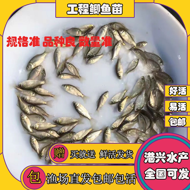 飞鸽代办-看货保障金