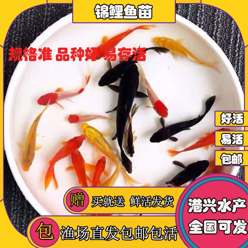 飞鸽代办-看货保障金
