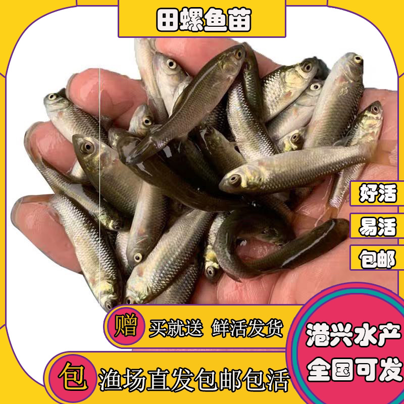 飞鸽代办-看货保障金