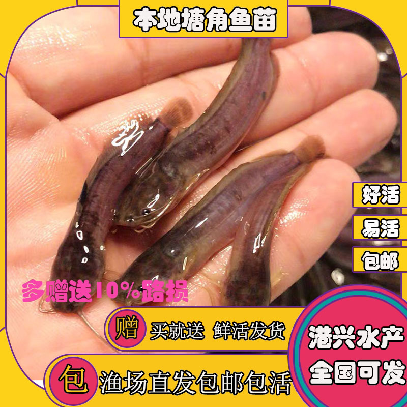 飞鸽代办-看货保障金