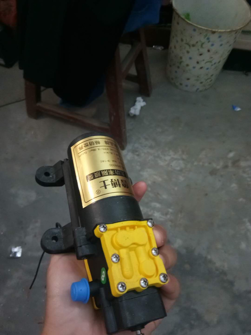 电动喷雾器水泵12v电机高效双泵隔膜泵小型打药泵自吸