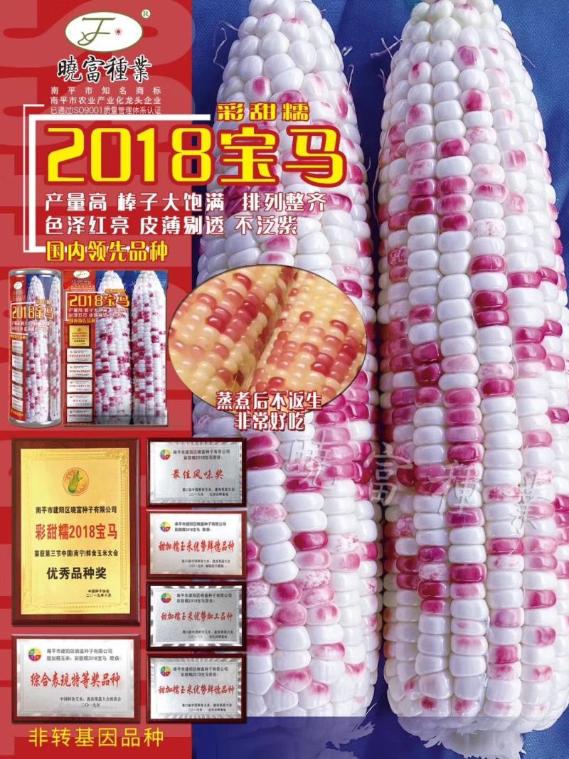 2018宝马彩甜糯甜玉米种子彩甜糯106甜糯