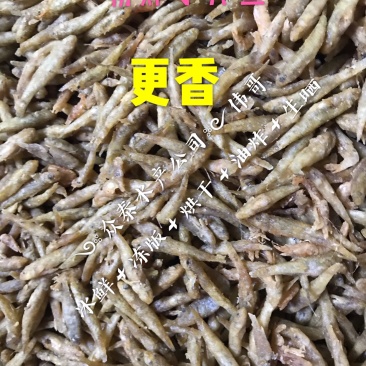 粉炸小黄鱼一手货源一年四季有货