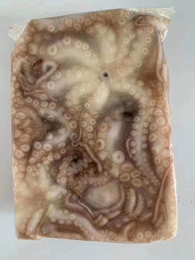 八爪鱼短腿新鲜速冻发货爆头