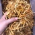黄花菜，直条，原菜，保鲜菜，一件20斤，地摊产品