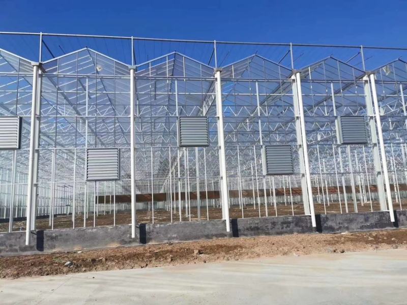 大棚膜厂家直销新型材料耐用价低欢迎咨询