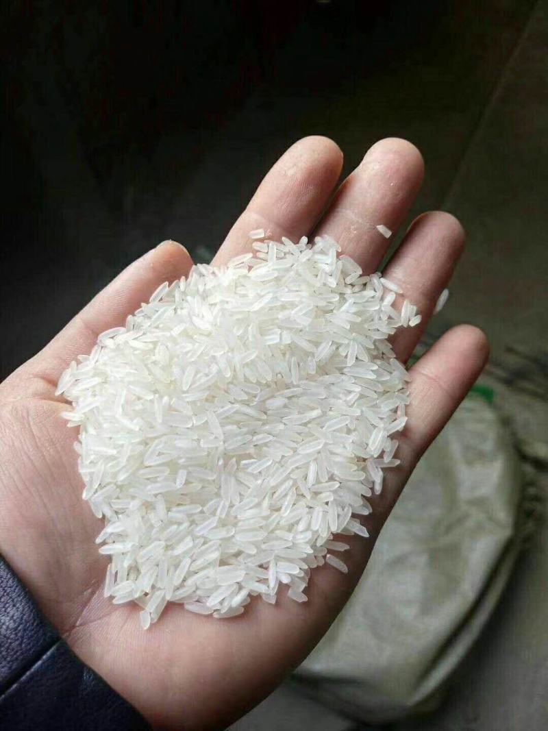 胚芽米：大米微抛，留住米表面的精华及米胚芽（米头的白点）