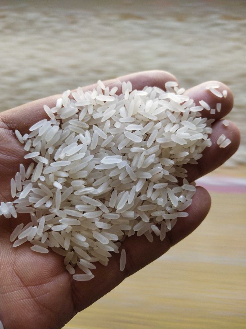 黄花粘晴米：自产自销，不抛光打蜡，留住米胚芽，淘米浑浊