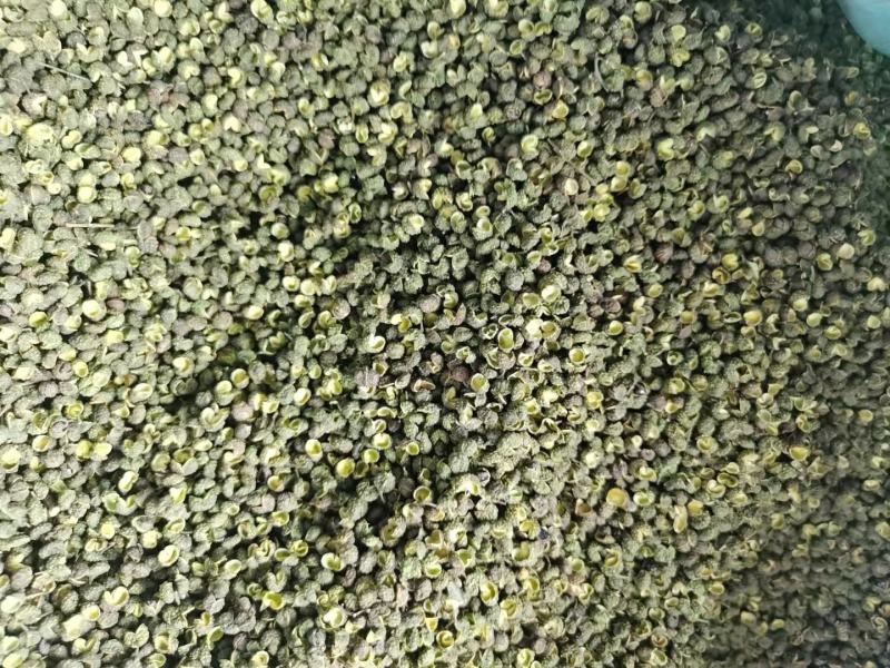 四川特产青花椒新货上市鲜香麻口干花椒60斤
