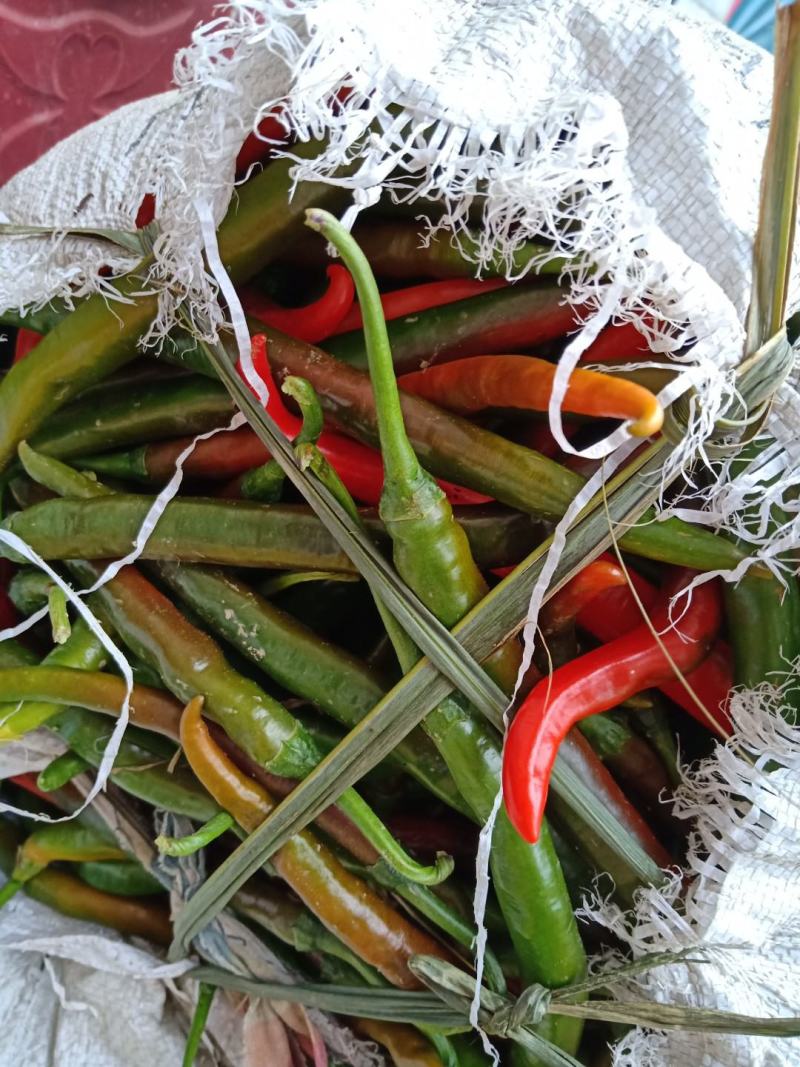 贵州辣椒青椒，酱色椒，红椒，