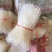 成都一手货源特色豌豆粉丝口感细滑一件50把净重22斤