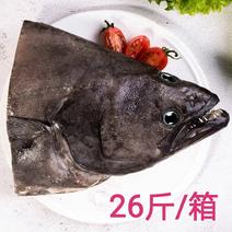 鸦片鱼头碟鱼大个新鲜冷冻比目鱼头1.2斤/个苏浙沪皖