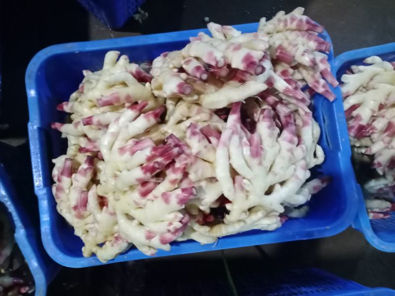 贵州小黄姜之乡，产地直销！